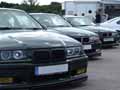 BMW M3 GTs at Gaydon 2007